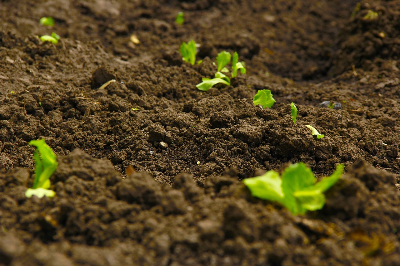 Soil Research