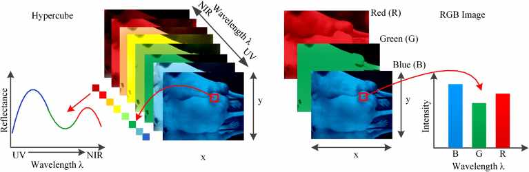 MultiSpectral Imaging & Hyperspectral Sensors