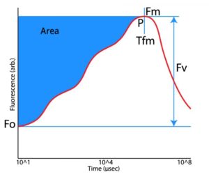 Common Continuous Excitation Fluorescence Parameters Measured