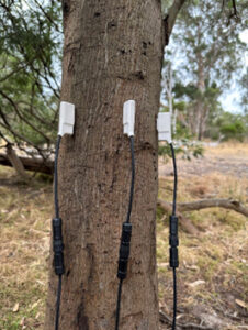 Sap Flow Sensor