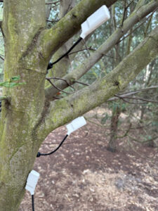 Sap Flow Sensor
